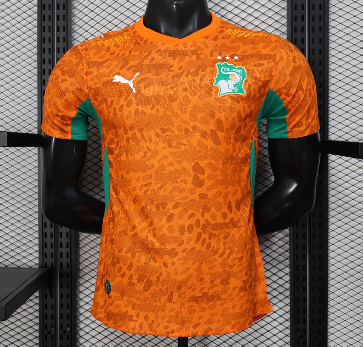 2026 Player Version Ivory Coast Home Jersey